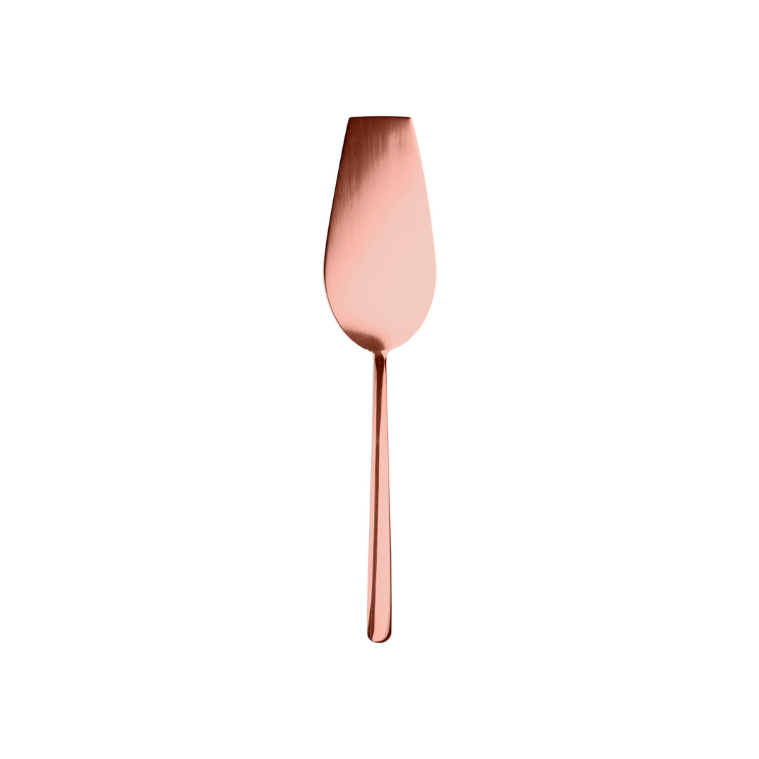 Cake Server